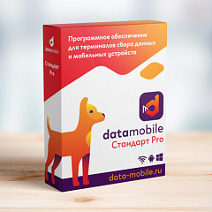 ПО DataMobile, версия Стандарт Pro в Курске